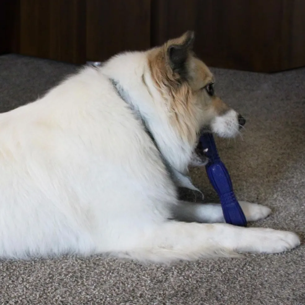 Ethical Pet Spot Barrett Tough Retriever Dog Toy 9.5"