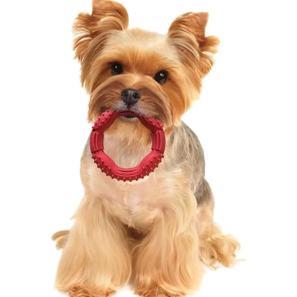 Ethical Pet Spot Barrett Tough Ring Dog Toy 5"