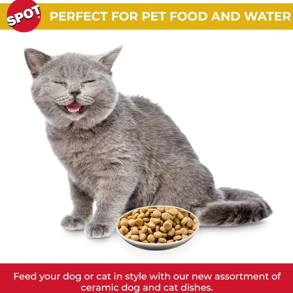 Ethical Pet Spot Best Friends Oval Cat Dish 6"