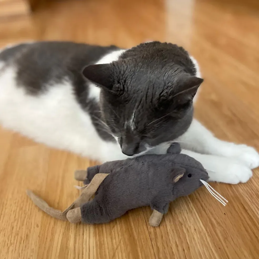 Ethical Pet Spot Big Mouse Bertha Cat Toy, Color Varies, 7-in