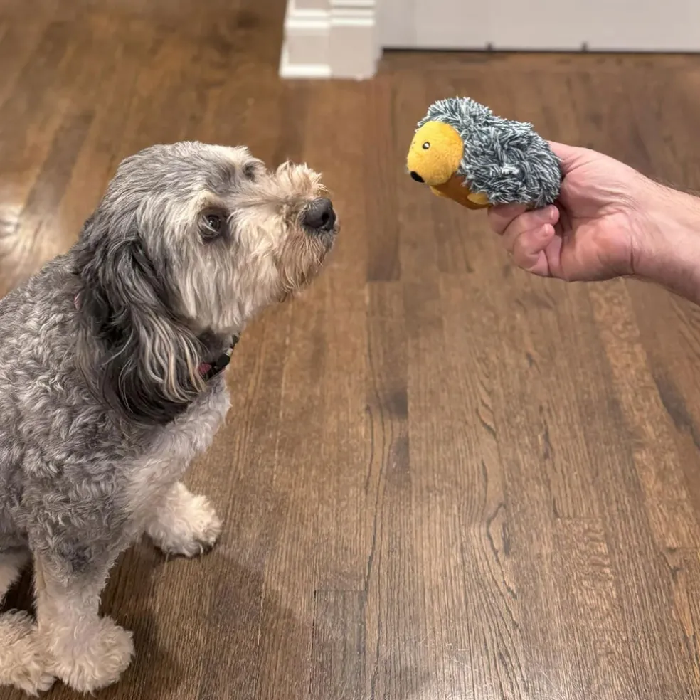 Ethical Pet Spot Butterballs Forest Dog Toy, 4-Inch, Assorted