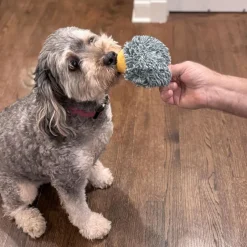 Ethical Pet Spot Butterballs Forest Dog Toy, 4-Inch, Assorted