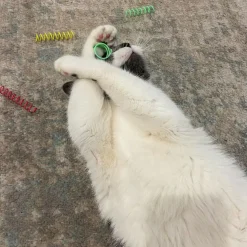 Ethical Pet Spot Colorful Springs Catnip Toy Thin, Assorted, 3