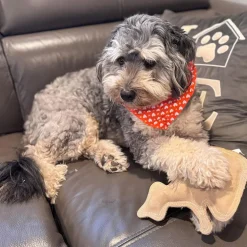 Ethical Pet Spot Dura-Fused Leather Dog Toy Raccoon