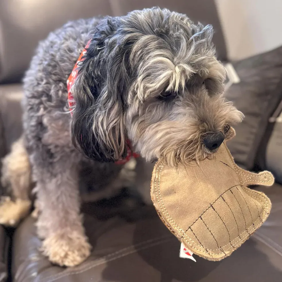 Ethical Pet Spot Dura-Fused Leather Dog Toy Raccoon
