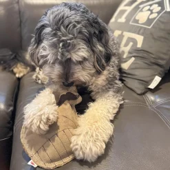 Ethical Pet Spot Dura-Fused Leather Dog Toy Raccoon