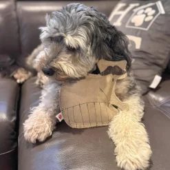 Ethical Pet Spot Dura-Fused Leather Dog Toy Raccoon