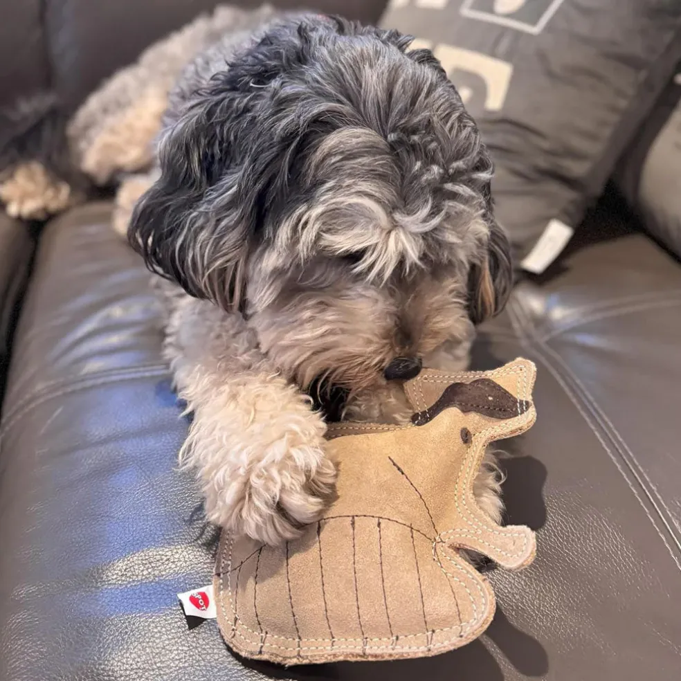 Ethical Pet Spot Dura-Fused Leather Dog Toy Raccoon