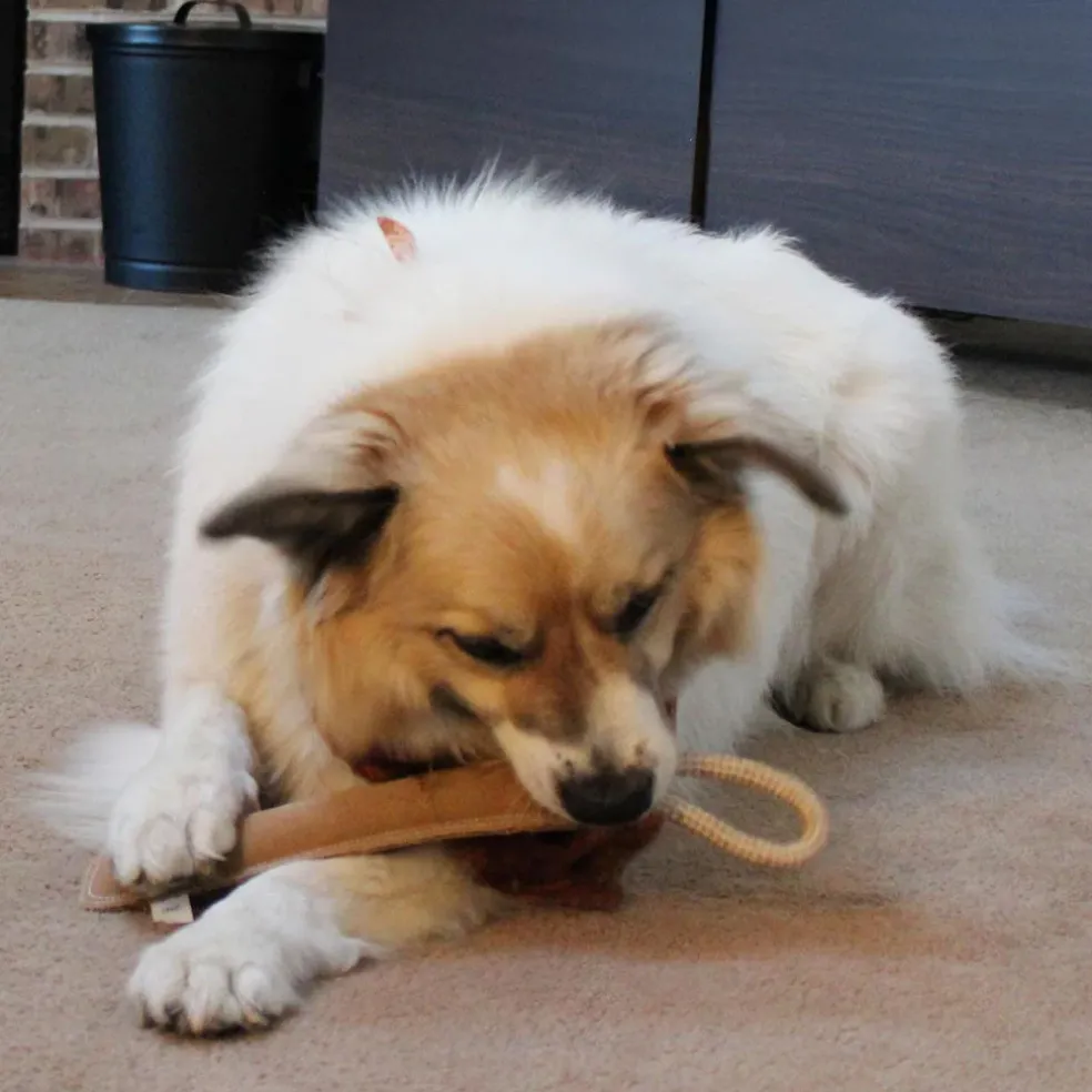 Ethical Pet Spot Dura-Fused Leather Retriever Dog Toy