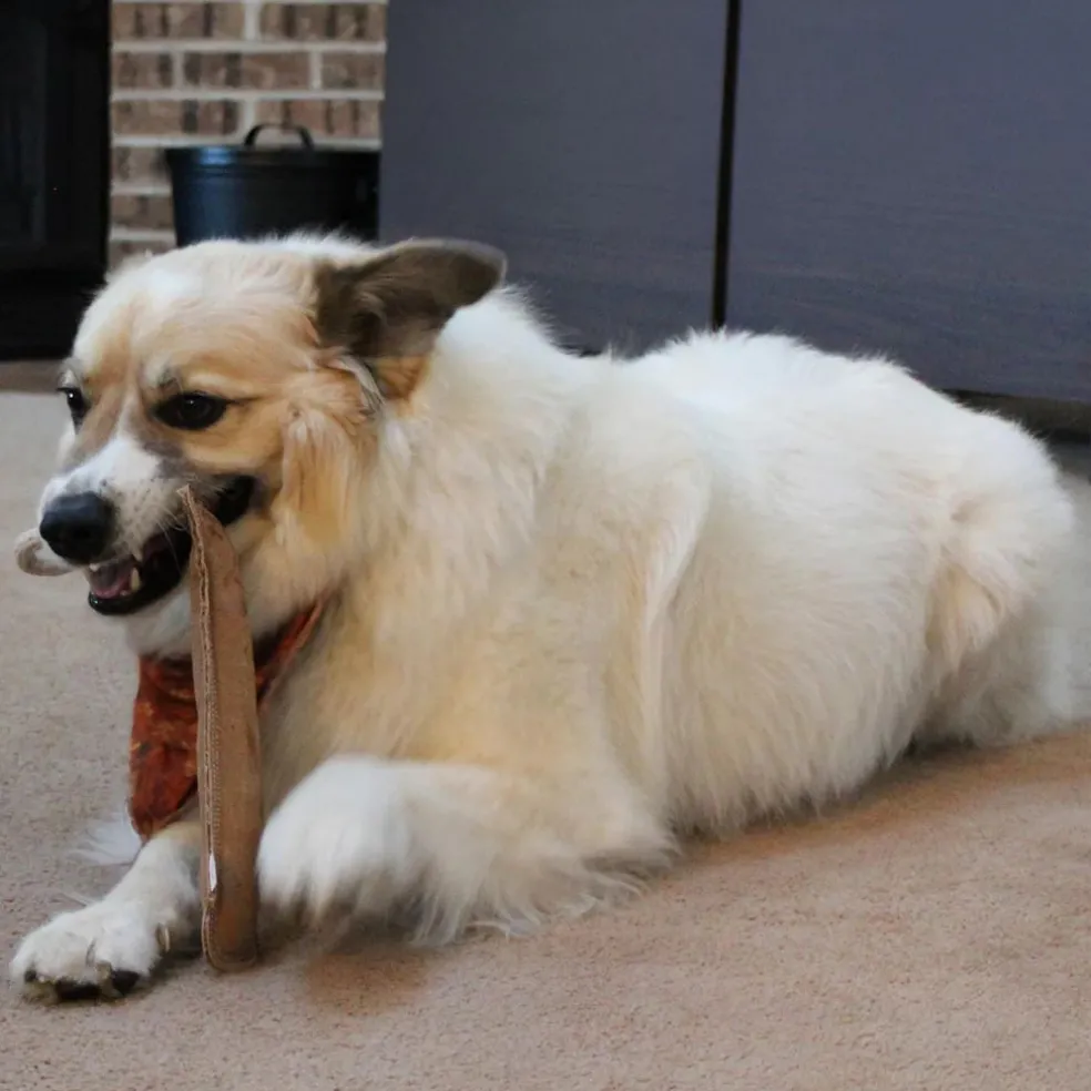 Ethical Pet Spot Dura-Fused Leather Retriever Dog Toy
