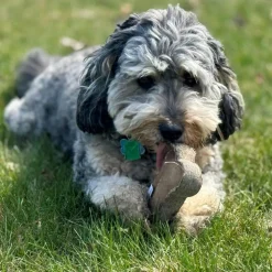 Ethical Pet Spot Dura-Fused Leather Bone Dog Toy, 9