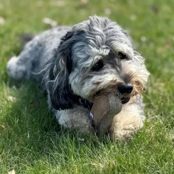 Ethical Pet Spot Dura-Fused Leather Bone Dog Toy, 9