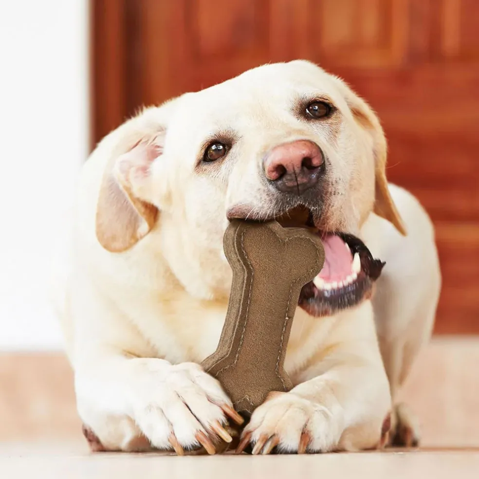 Ethical Pet Spot Dura-Fused Leather Bone Dog Toy, 9"