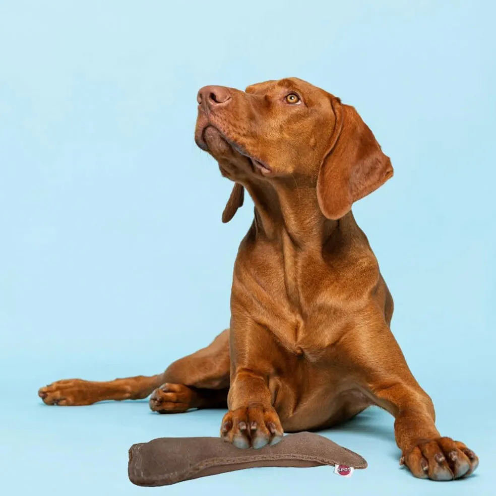 Ethical Pet Spot Dura-Fused Leather Bone Dog Toy, 9"