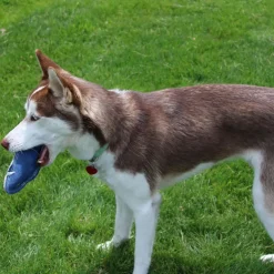 Ethical Pet Spot Dura-fuse Leather Fish Dog Toy, Character Varies, 7