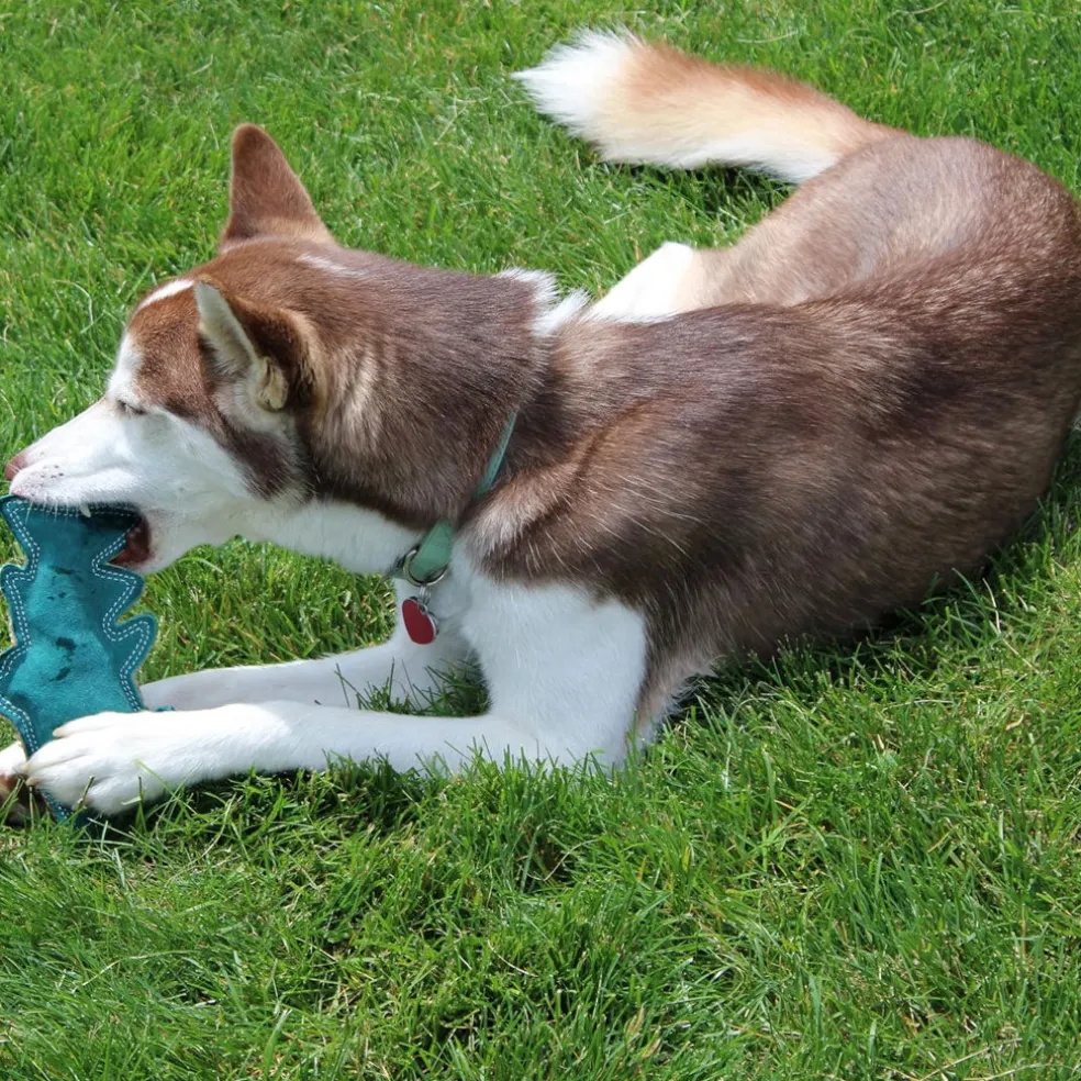 Ethical Pet Spot Dura-fuse Leather Fish Dog Toy, Character Varies, 7", 1-count