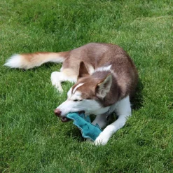 Ethical Pet Spot Dura-fuse Leather Fish Dog Toy, Character Varies, 7