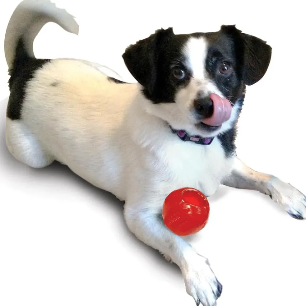 Ethical Play Strong Ball Toy For Dogs (2.5")