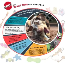 Ethical Play Strong Ball Toy For Dogs (2.5