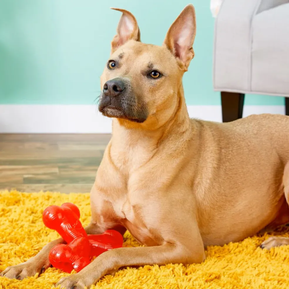 Ethical Play Strong Trident Toy For Dog (6")