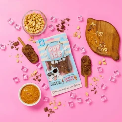 Ethical Pup Ice Choccy Lollies Peanut Butter & Chocolate Ready to Freeze Dog Treats, 2 pack