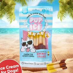 Ethical Pup Ice Rocket Lollies Ready to Freeze Dog Treats, 2 pack