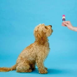Ethical Pup Ice Rocket Lollies Ready to Freeze Dog Treats, 2 pack