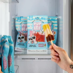 Ethical Pup Ice Rocket Lollies Ready to Freeze Dog Treats, 2 pack