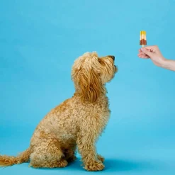 Ethical Pup Ice Rocket Lollies Ready to Freeze Dog Treats, 2 pack