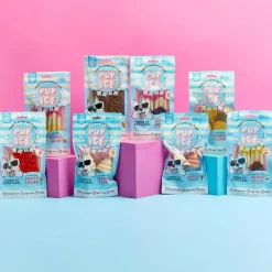 Ethical Pup Ice Waffle Cone Ready to Freeze Dog Treats, 2 pack