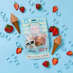 Ethical Pup Ice Waffle Cone Ready to Freeze Dog Treats, 2 pack