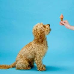 Ethical Pup Ice Waffle Cone Ready to Freeze Dog Treats, 2 pack