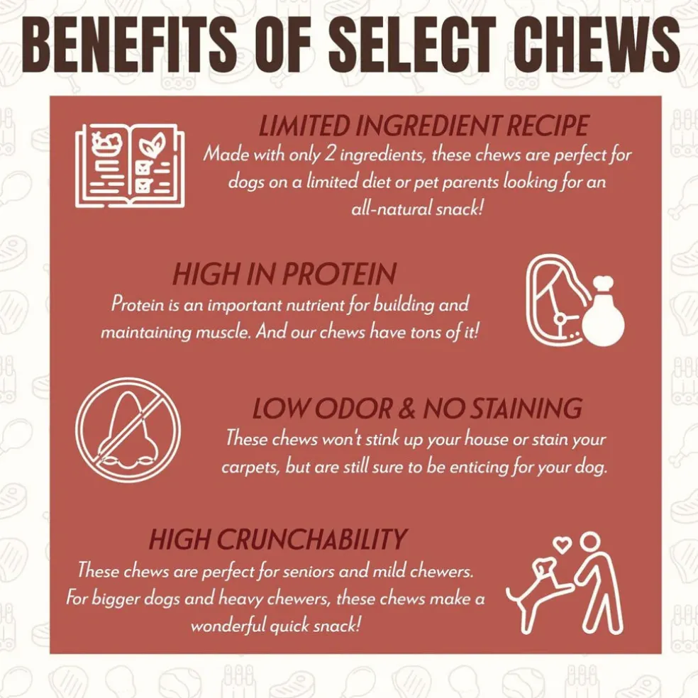 Etta Says! Crunchy Liver Dog Chew Treats, 7"