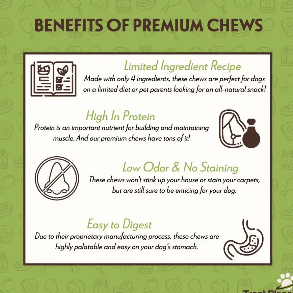 Etta Says! Premium Crunchy Chew Bars Chicken + Chia Dog Treats, 12 count