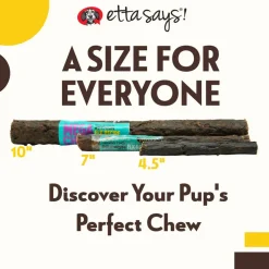 Etta Says! Premium Crunchy MEGA Turkey Chews Dog Treats, 10