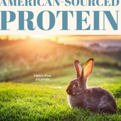 Etta Says! Premium Crunchy Rabbit Dog Chew Treats, 7"