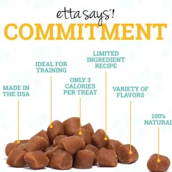 Etta Says! Sit! Training Treats for Dogs Oat & Peanut Flavor, 16-oz