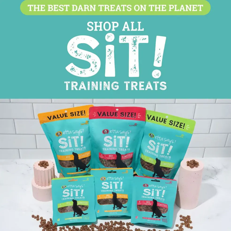 Etta Says! Sit! Training Treats for Dogs Cheese Flavor, 6-oz