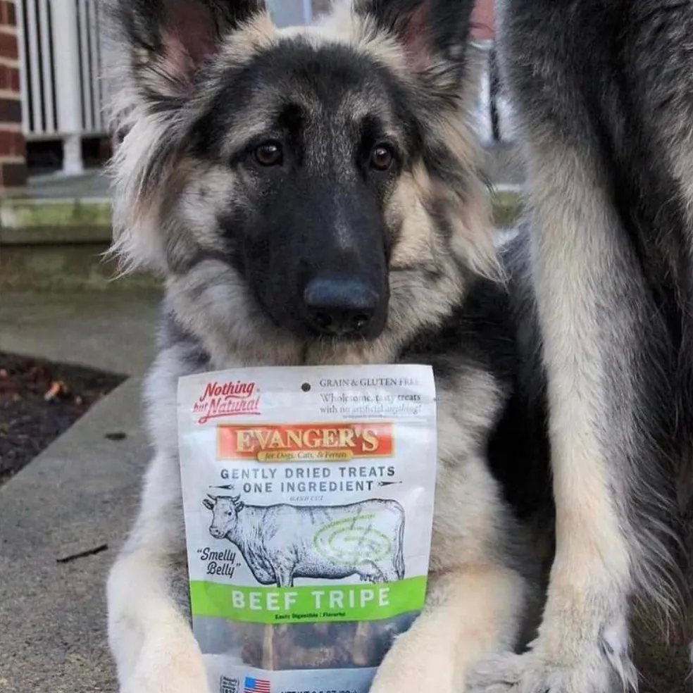 Evanger's Freeze-Dried Beef Tripe Dog & Cat Treats (4.6 oz)
