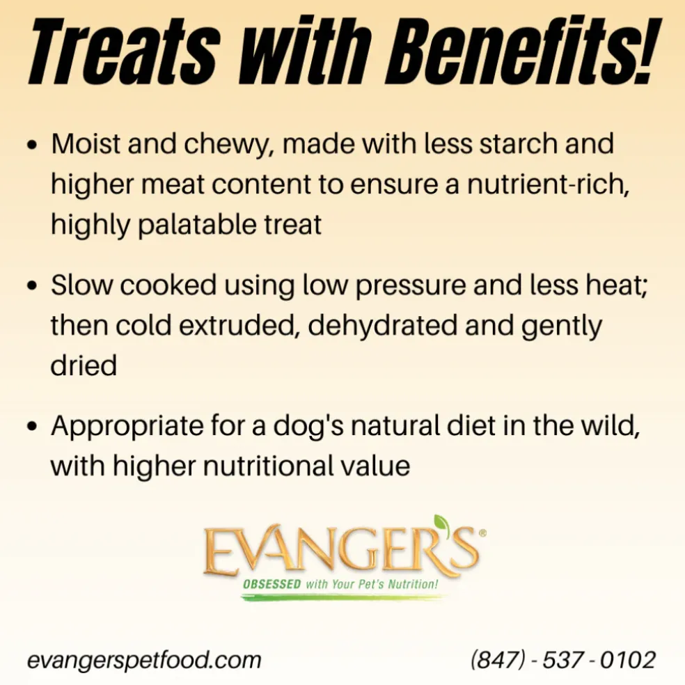 Evanger's Grain-Free Oven Baked Qauil Recipe Jerky Treats for Dogs (4.5 oz)