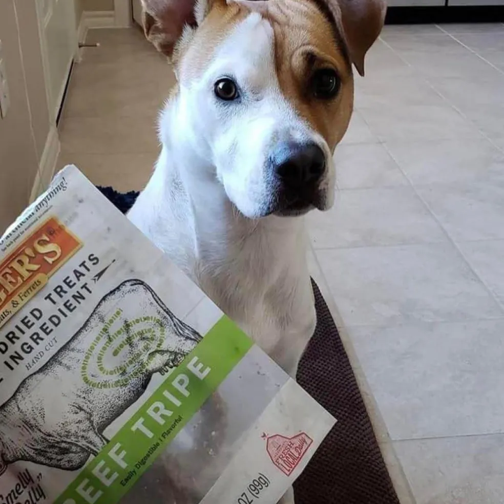 Evanger's Nothing but Natural Gently Air Dried Beef Tripe Dog & Cat Treats (3.5 oz)