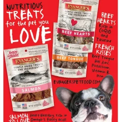 Evanger's Nothing but Natural Gently Air Dried Beef Tripe Dog & Cat Treats (3.5 oz)