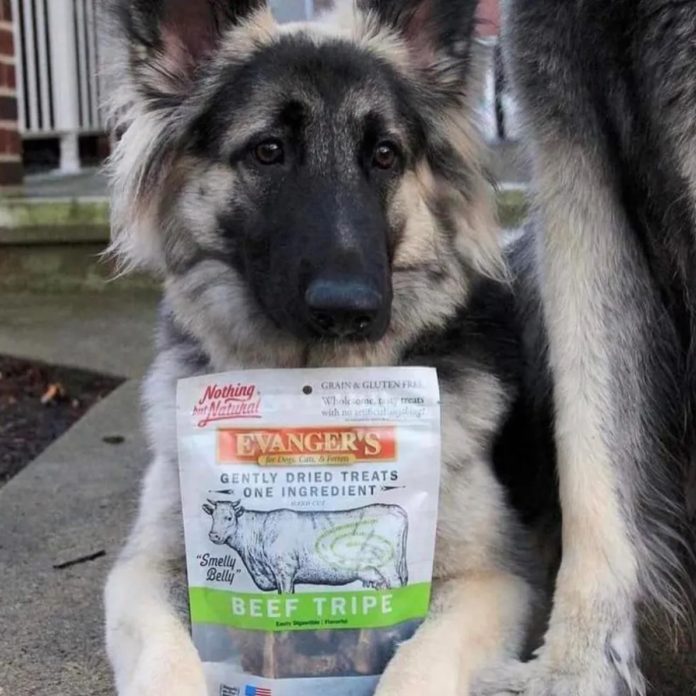 Evanger's Nothing but Natural Gently Air Dried Beef Tripe Dog & Cat Treats (3.5 oz)