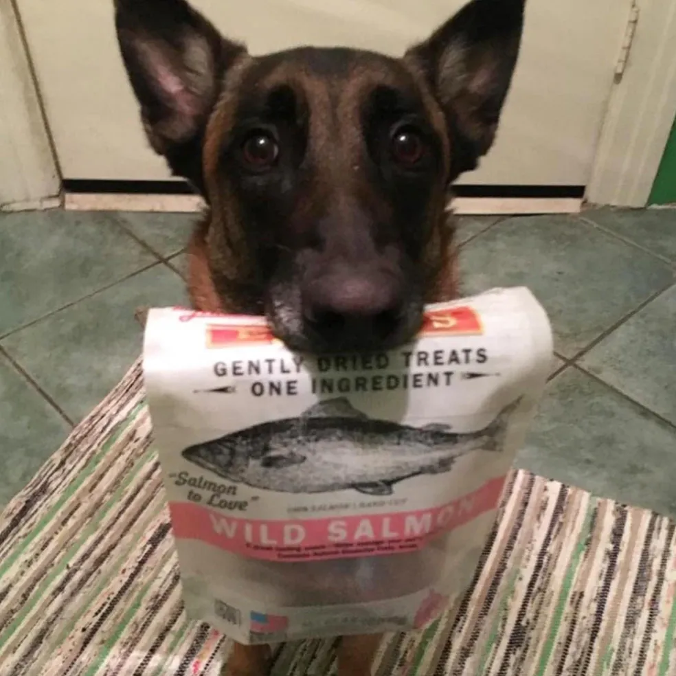 Evanger's Nothing but Natural Gently Air Dried Wild Salmon Dog & Cat Treats (3.5 oz)