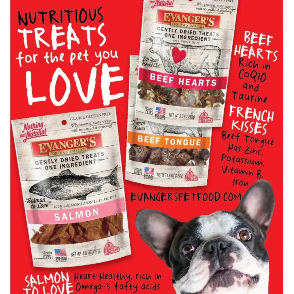 Evanger's Nothing but Natural Gently Air Dried Wild Salmon Dog & Cat Treats (3.5 oz)