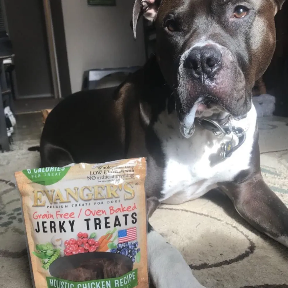 Evanger's Nothing But Natural Holistic Chicken Recipe Jerky Dog Treats (4.5 oz)