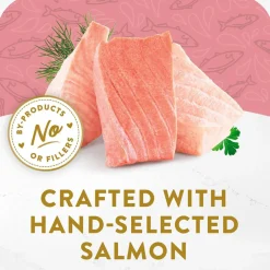 Fancy Feast Appetizers Wild Alaskan Salmon in a Delicate Broth Lickable Cat Treats, 1.1-oz tray, case of 10