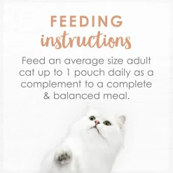 Fancy Feast Classic Broths with Wild Salmon & Vegetables Supplemental Wet Cat Food Pouches, 1.4-oz pouch, case of 16