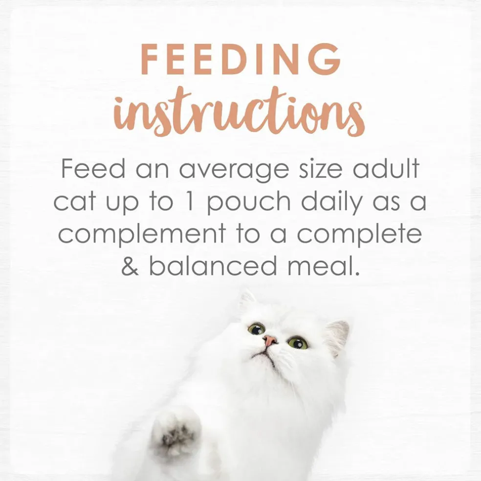 Fancy Feast Classic Broths with Wild Salmon & Vegetables Supplemental Wet Cat Food Pouches, 1.4-oz pouch, case of 16