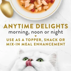 Fancy Feast Classic Broths with Wild Salmon & Vegetables Supplemental Wet Cat Food Pouches, 1.4-oz pouch, case of 16